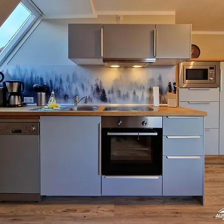 Apartment Auszeit-im-harz Haus 1 Brockenspitze *